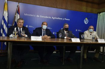Conrado Ferber, Martín Lema, Fernando Mattos e Ignacio Elgue.