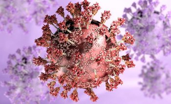 Se espera que la próxima semana los estudios de laboratorio muestren qué tan bien los anticuerpos pueden atacar el virus