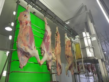 Colocaciones de carnes alcanzan valores récord durante 2021.