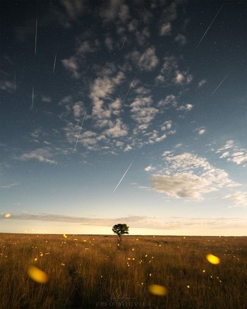 Fefo Bouvier fotografió lluvia de meteoros y es foto del día para la NASA