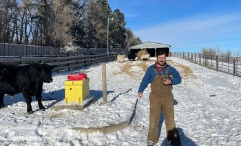 El uruguayo que trabaja con vacas en la nieve y con -40° de sensación térmica