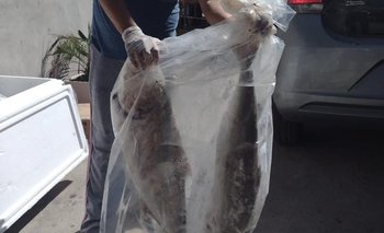 Coordinadora de Ollas y Merenderos Paso Carrasco recibiendo el pescado