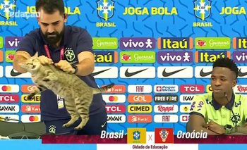 El gato que se metió en la conferencia de Brasil