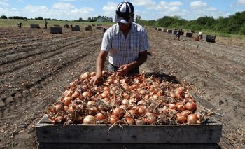 Gerardo Martínez, cuando aún era productor de cebolla.