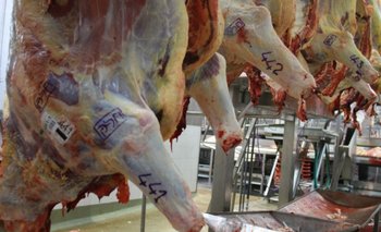 La carne viene salvándose de un derrumbe de precios<br>