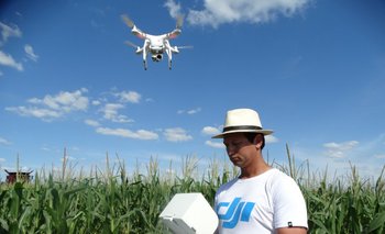 Monitoreo de una chacra con maíz utilizando los servicios de un dron.<br>