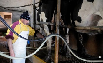 Medidas recientes para lecheros son valoradas, pero calificadas como insuficientes