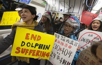 Defensores de los animales protestan en el Ocean Park en Hong Kong