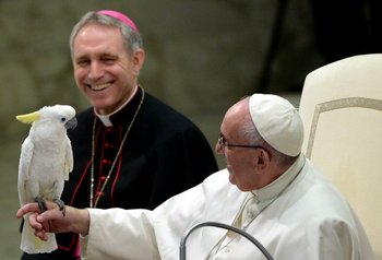 El papa Francisco sostiene un loro durante su Audiencia General en el Vaticano