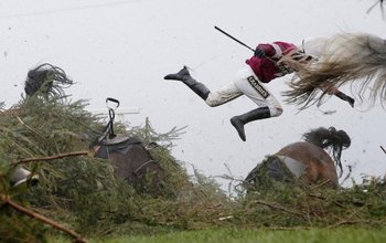Tomada por Tom Jenkins, la fotografía ganadora en la categoría deportes muestra a la jockey Nina Carberry cayendo de su montura durante el Grand National, la carrera de obstáculos más grande que se realiza en el  Reino Unido