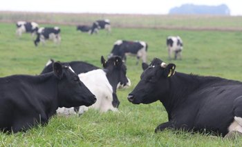 Se entiende que los productores lecheros no están en condiciones de pagar doble cuota de amortizaciones