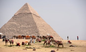Los dueños de camellos egipcios esperan a turistas cerca de las pirámides en las afueras de El Cairo. 