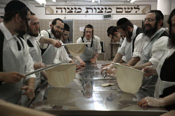 Judíos ultra ortodoxos amasan antes de hornear Matzoth (pan sin levadura)