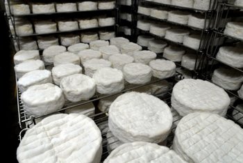 Las exportaciones de quesos generaron el ingreso de US$ 33 millones en 2021.