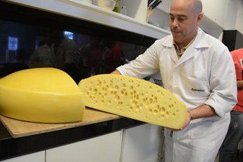 El queso, destino del 20% de la leche remitida desde los tambos.