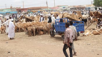 Omdurman es la segunda ciudad más grande de Sudán.