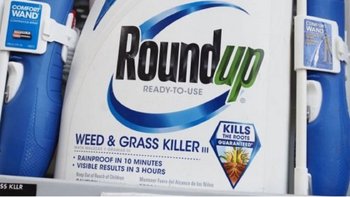 <b>Roundup es un producto desarrollado por Monsanto, compañía que pertenece a Bayer</b>