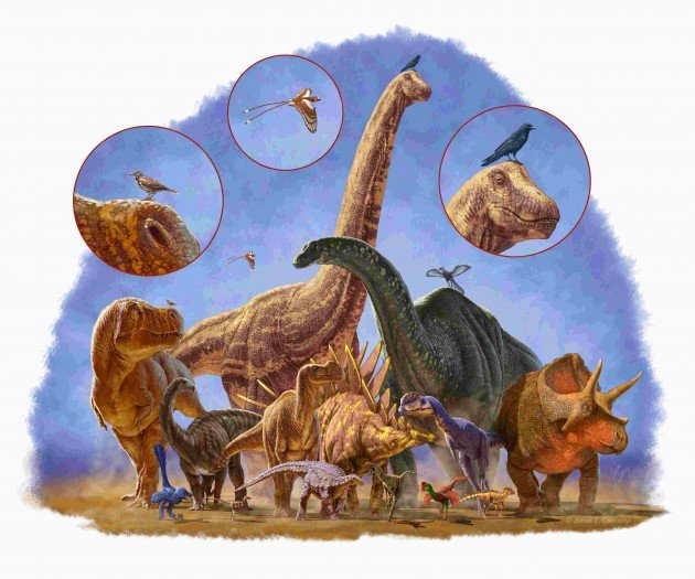 Encogerse fue lo que salvó a los dinosaurios de la extinción