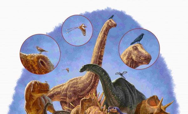 Encogerse fue lo que salvó a los dinosaurios de la extinción