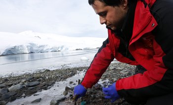 El científico Juan Pablo Monrás toma muestras de tierra en la Isla del Rey Jorge, en las Islas Shetland del Sur, Antártica