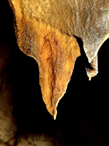 Detalle antropomorfo en la cueva de Tito Bustillo