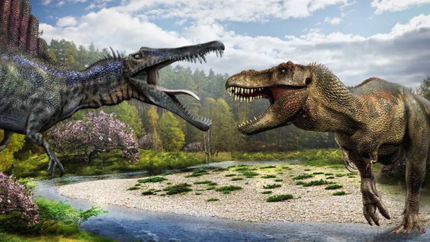 Los dinosaurios luchaban por sobrevivir mucho antes de la caída del  meteorito